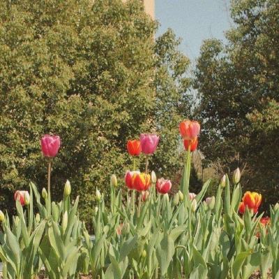 开元app手机app下载