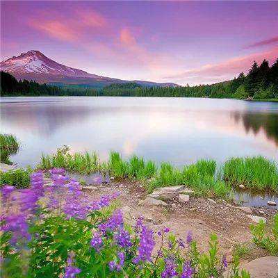 m6米乐网页版登录入口下载手机版