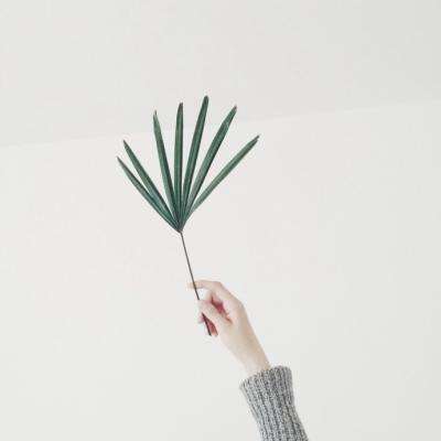 江南足球app下载手机版